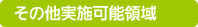 その他実施可能領域